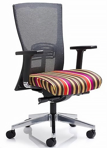 Ergonomic Mesh Chair
