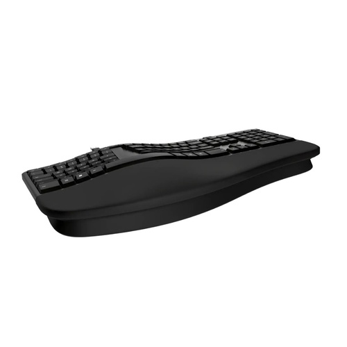 Incase Ergonomic Keyboard