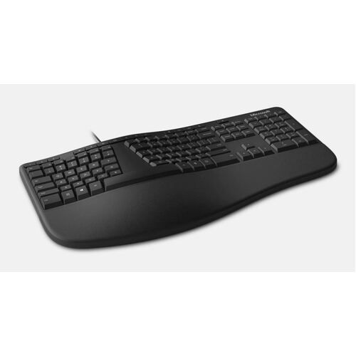 MS Ergonomic Keyboard
